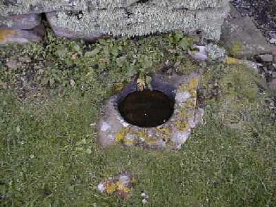 08090067.jpg (25082 bytes)