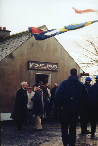 Some of the crowd celebrating the arrival of electricity